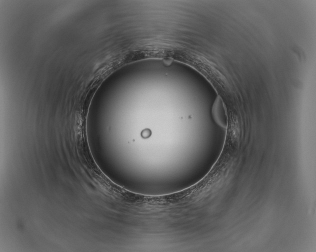 X0000112520964200908171351