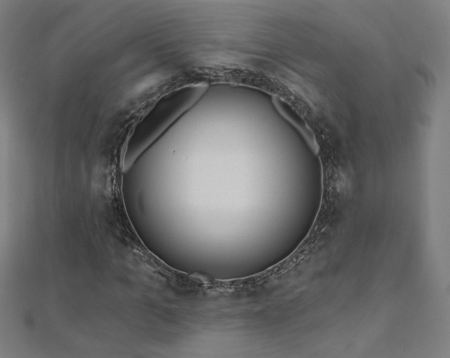 X0000112520965200908171351