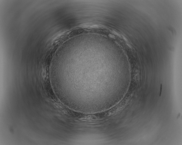 X0000112520966200908171351