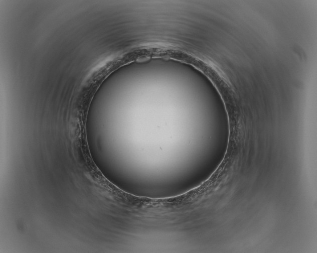 X0000112520967200908171351