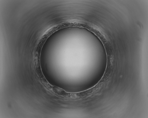 X0000112520968200908171351