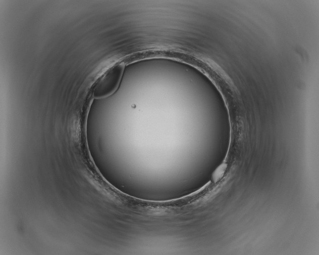 X0000112520969200908171351