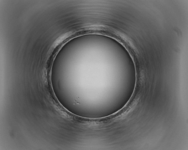 X0000112520970200908171351