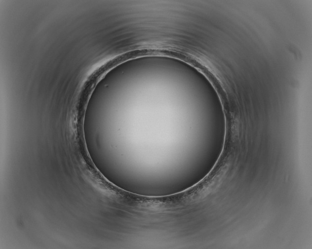 X0000112520971200908171351