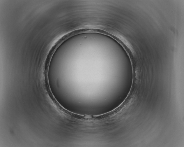 X0000112520972200908171351