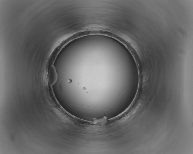 X0000112520973200908171351