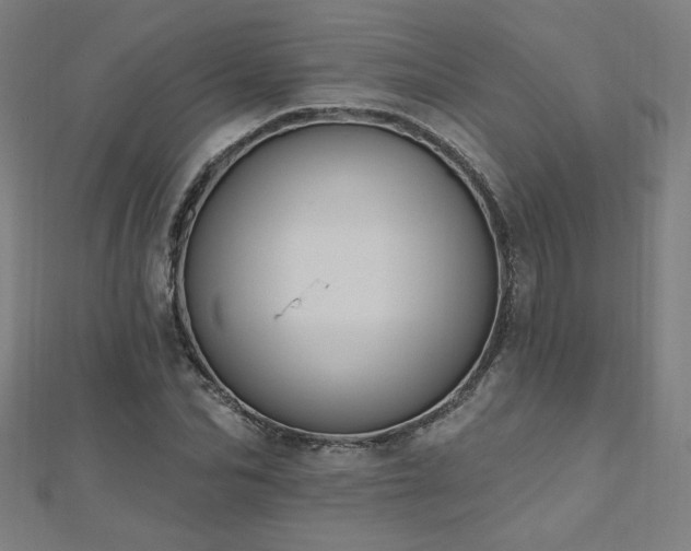X0000112520974200908171351