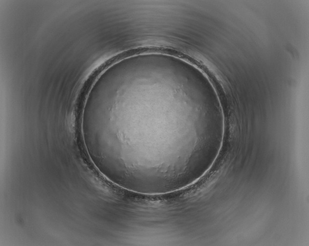 X0000112520975200908171351