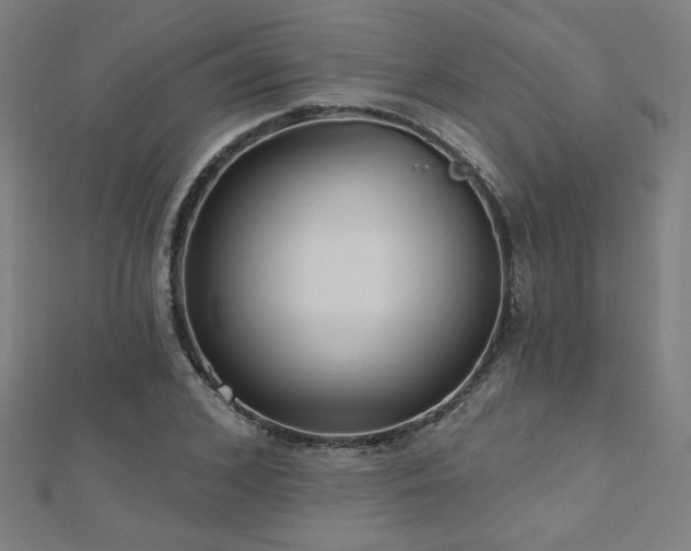 X0000112520976200908171351
