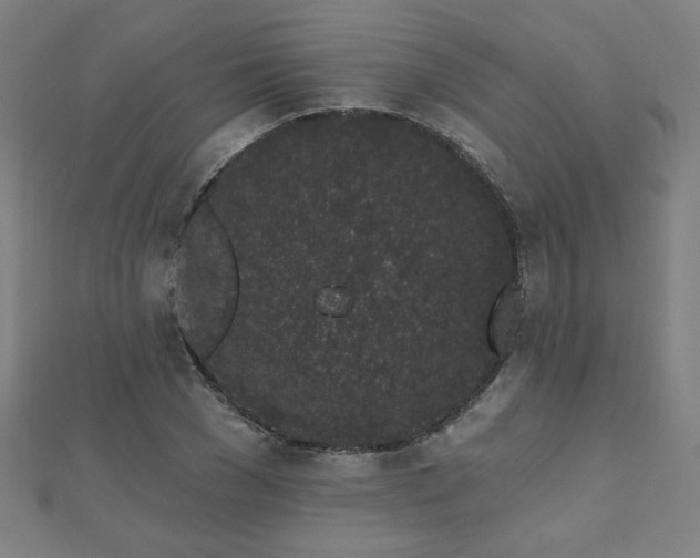 X0000112520977200908171351