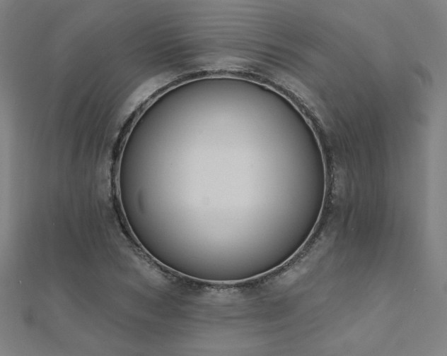 X0000112520978200908171351