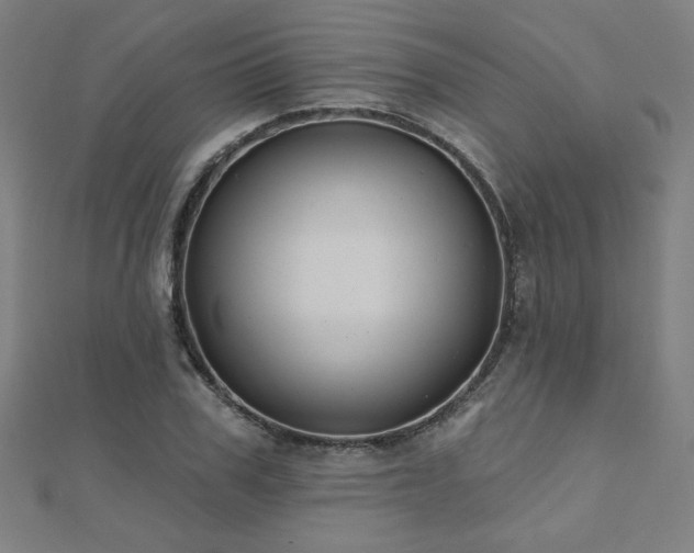 X0000112520979200908171351