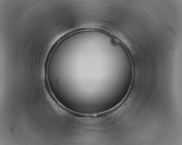 X0000112520980200908171351