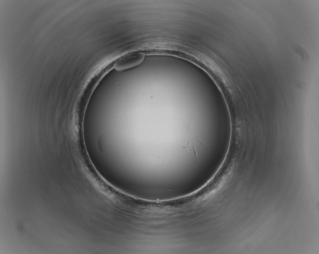X0000112520981200908171351