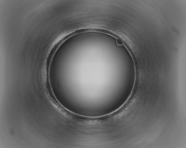 X0000112520982200908171351