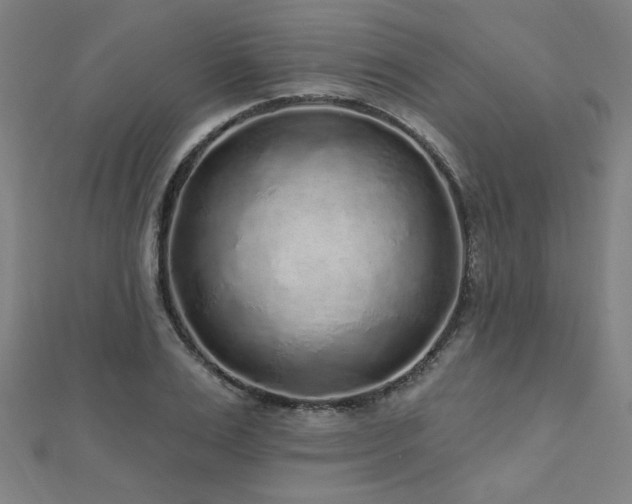 X0000112520983200908171351
