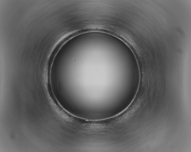 X0000112520984200908171351