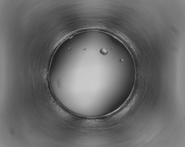 X0000112520985200908171351