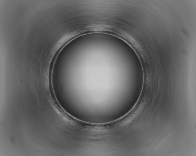 X0000112520986200908171351