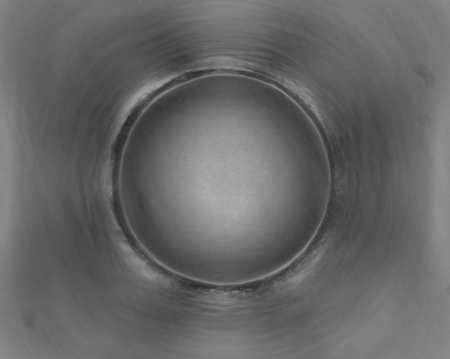X0000112520987200908171351