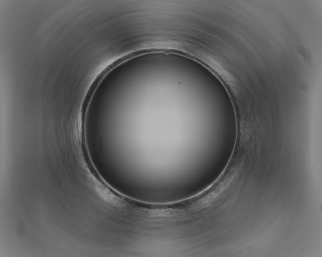 X0000112520988200908171351
