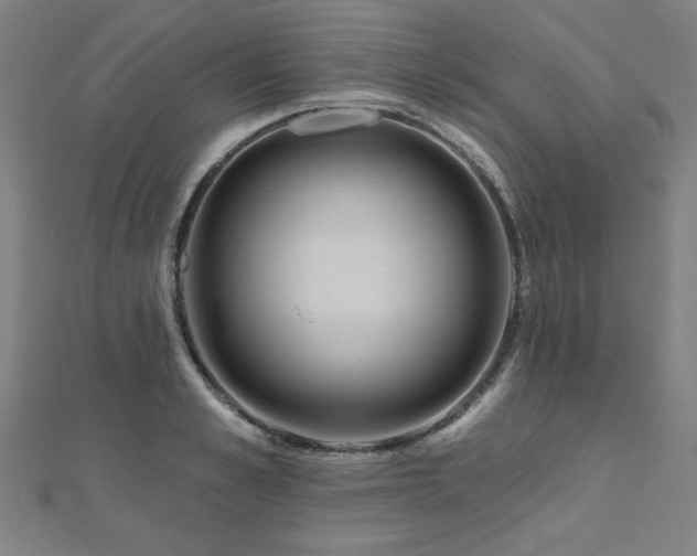 X0000112520989200908171351