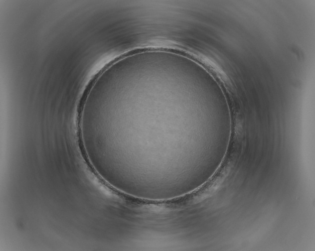 X0000112520990200908171351