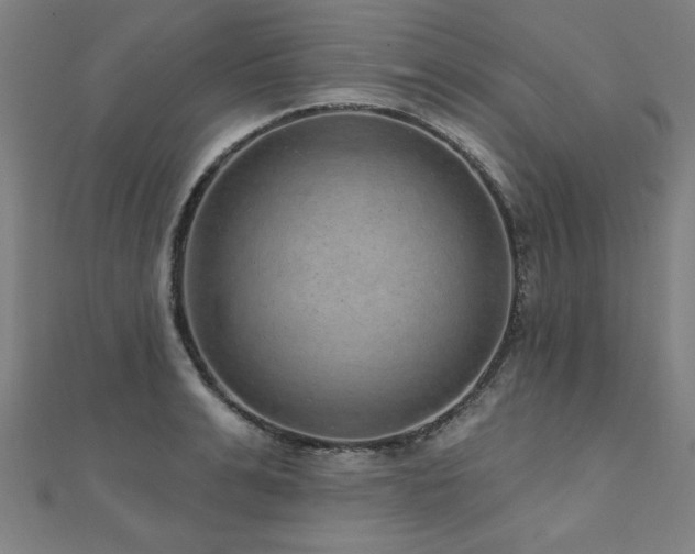 X0000112520991200908171351