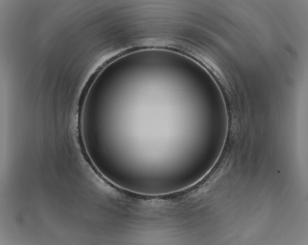 X0000112520992200908171351