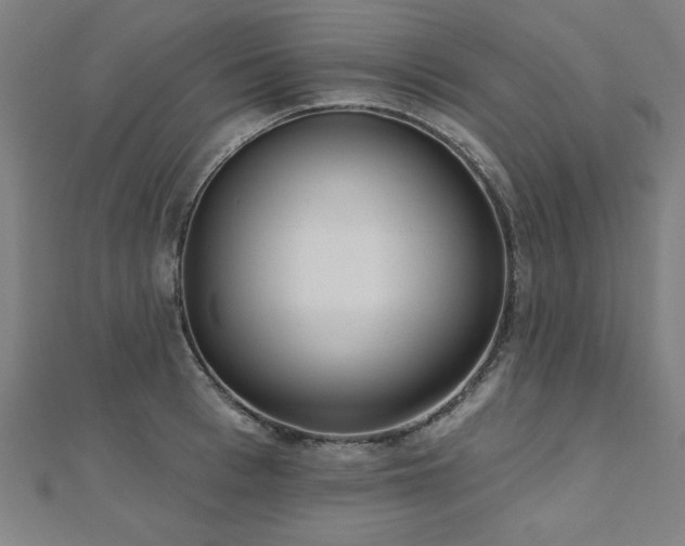 X0000112520993200908171351