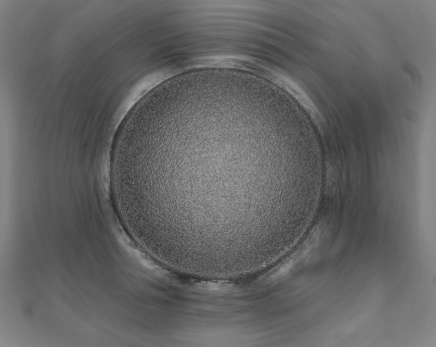 X0000112520994200908171351