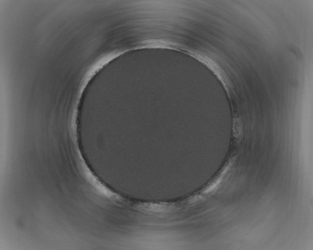 X0000112520995200908171351