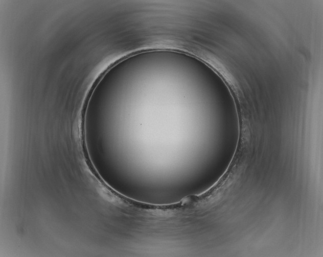 X0000112520996200908171351