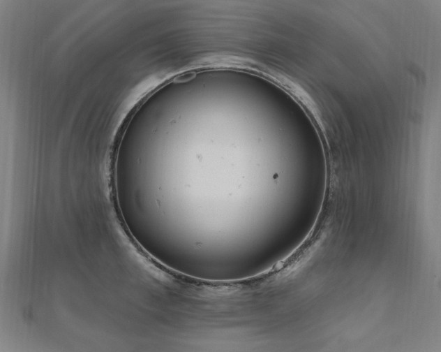 X0000112520997200908171351