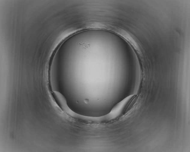 X0000112521000200908171351