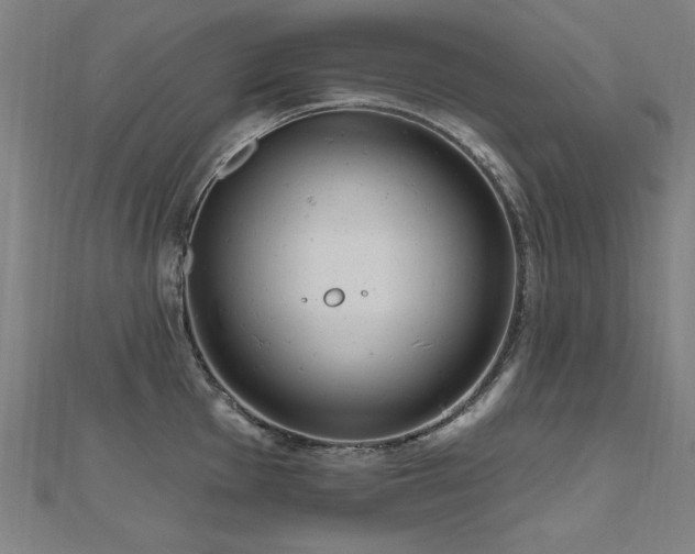 X0000112521001200908171350