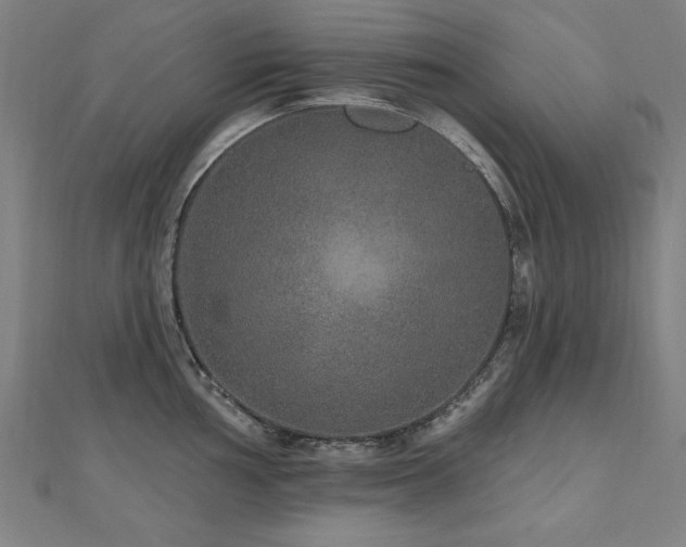 X0000112521002200908171350
