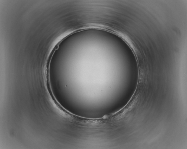 X0000112521003200908171350