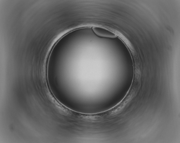 X0000112521004200908171350