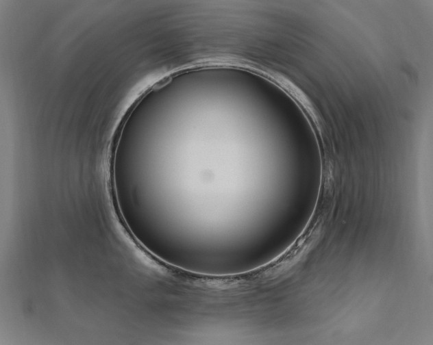 X0000112521005200908171350