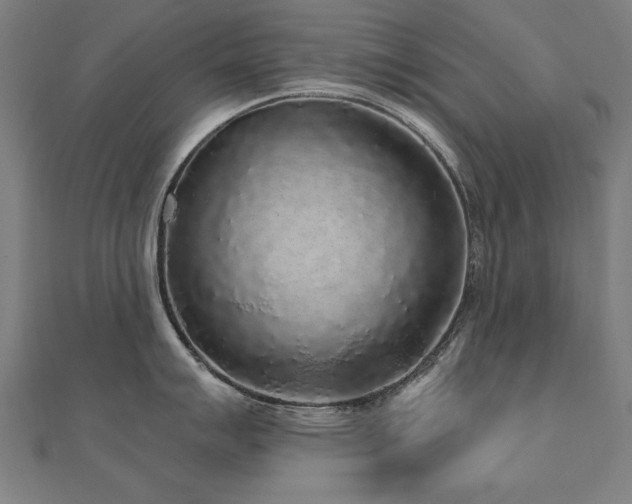 X0000112521007200908171350