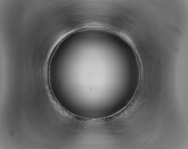 X0000112521008200908171350