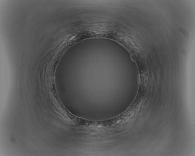X0000112521009200908171350
