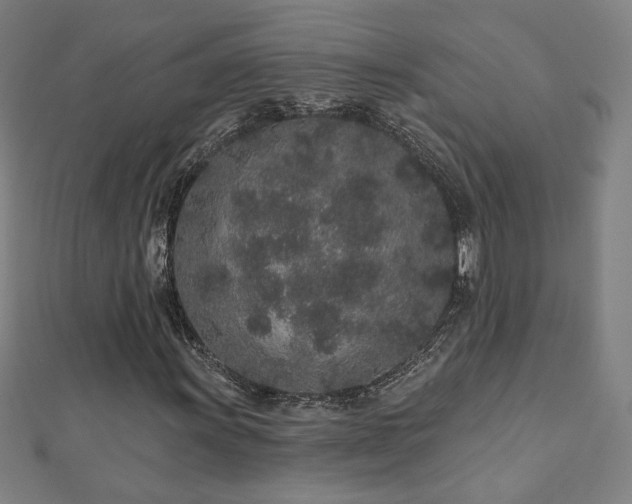 X0000112521011200908171350