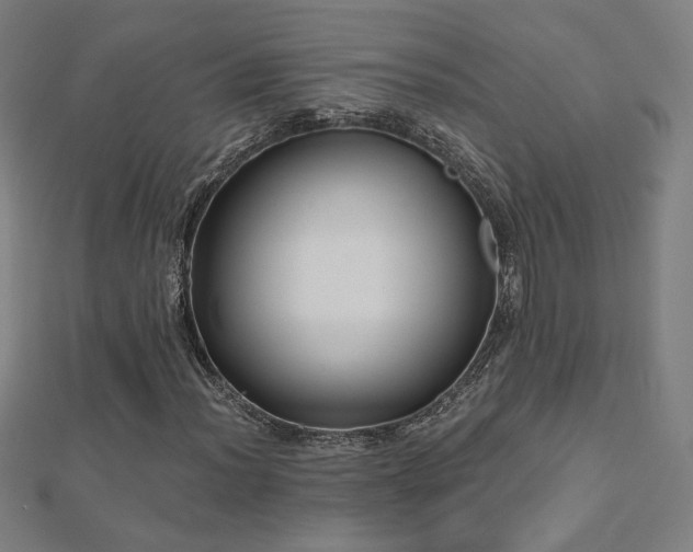 X0000112521012200908171350