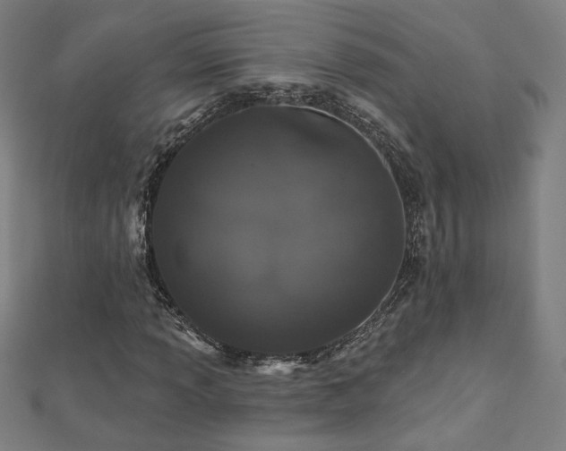 X0000112521013200908171350