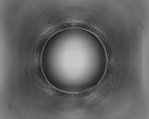 X0000112521014200908171350