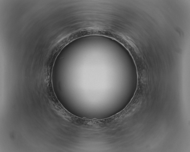 X0000112521015200908171350