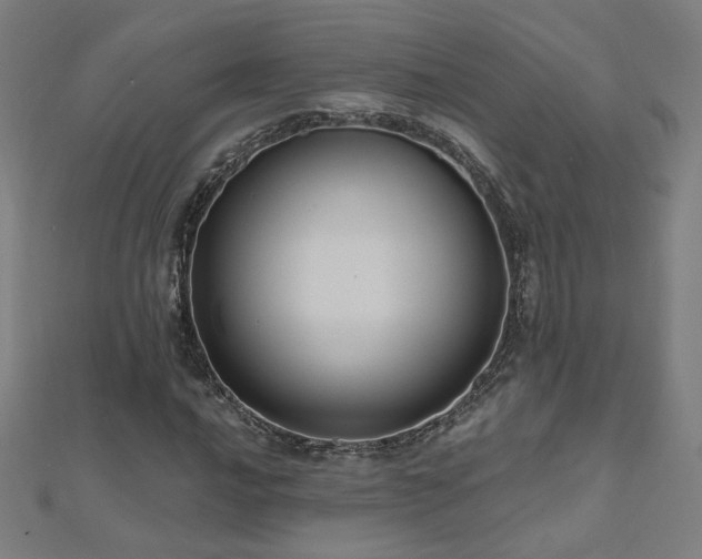 X0000112521016200908171350