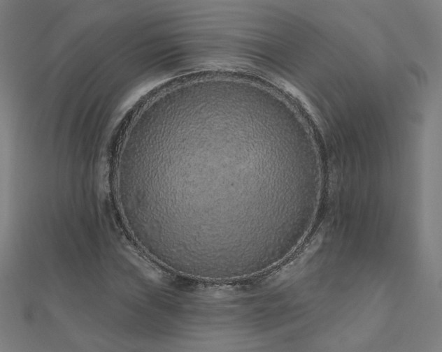 X0000112521019200908171350